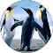 Reviewer Image 1